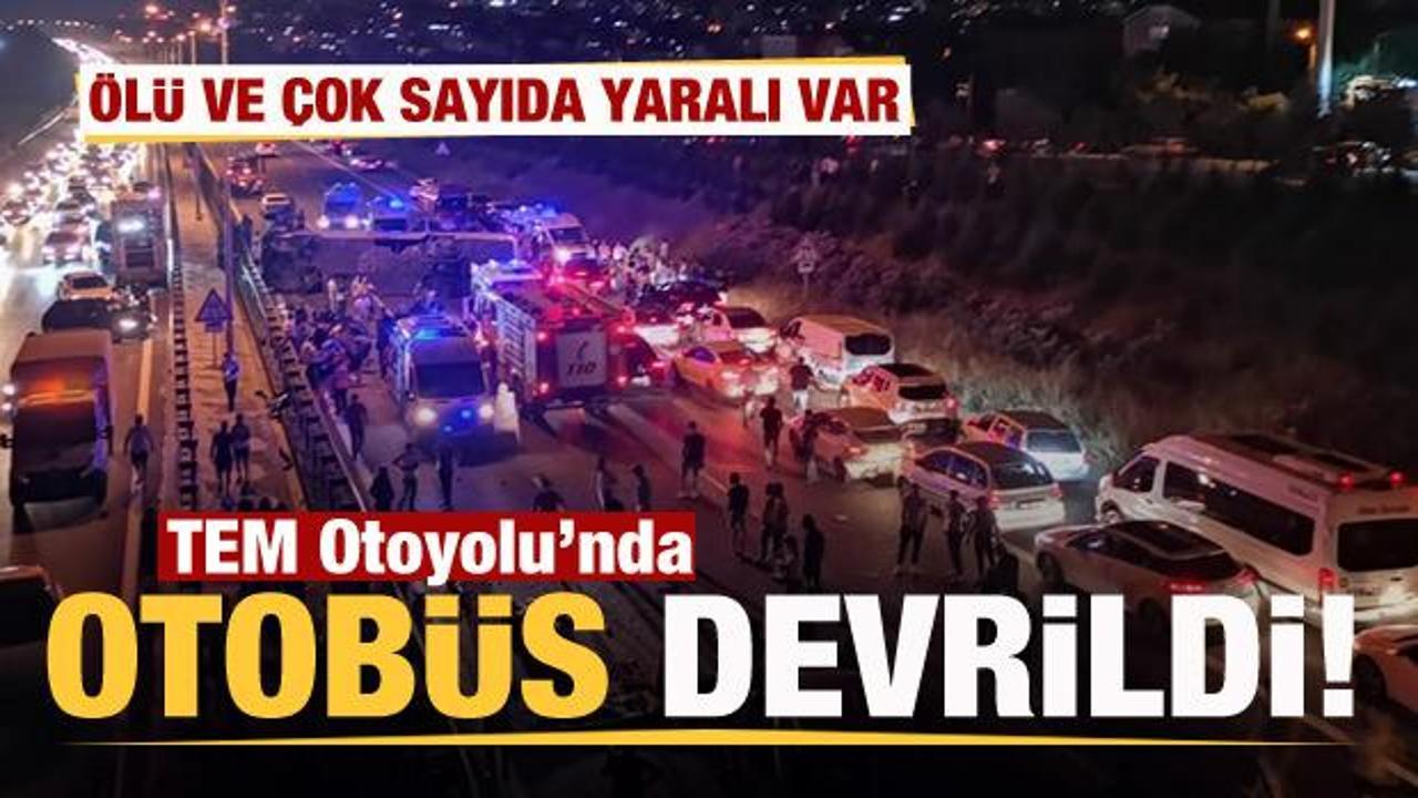 TEM’de yolcu otobüsü devrildi Ölü ve yaralılar var