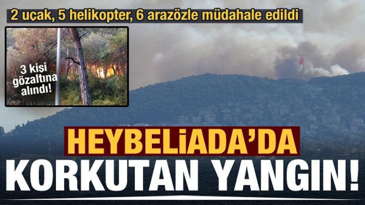 Heybeliada'da korkutan yangın! 3 kişi gözaltına alındı