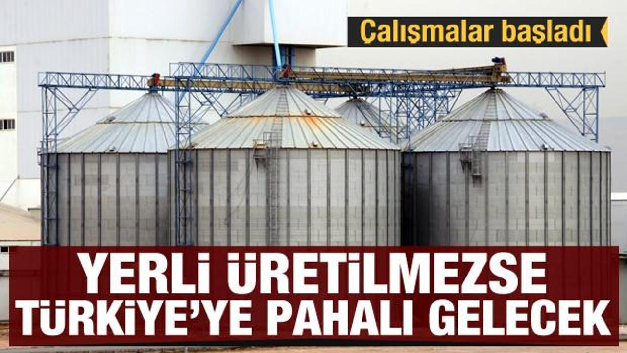 Yerli yem üretilmezse Türkiye'ye pahalıya gelecek