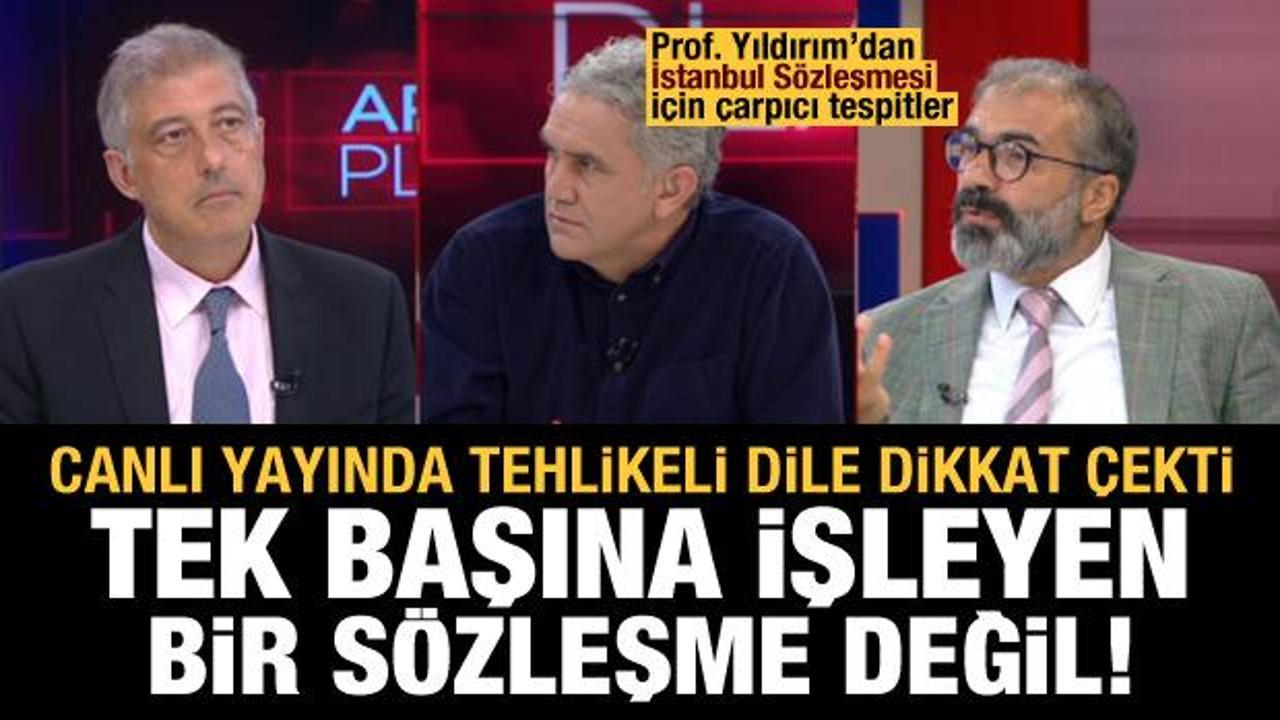 Prof. Erg&uuml;n  Yıldırım: İstanbul S&ouml;zleşmesi tek başına işleyen bir s&ouml;zleşme değil!
