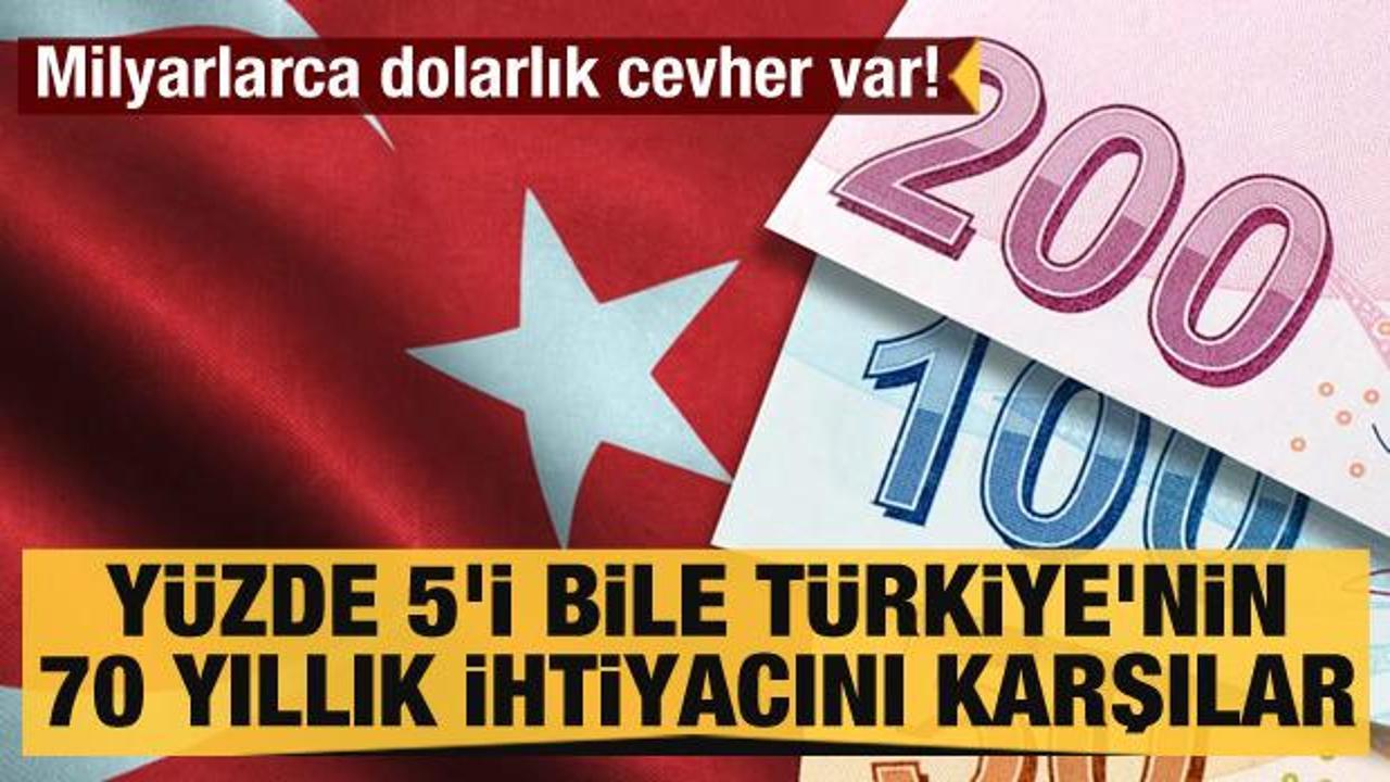 Milyarlarca dolarlık cevher var! Yüzde 5'i bile Türkiye'nin 70 yıllık ihtiyacını karşılar