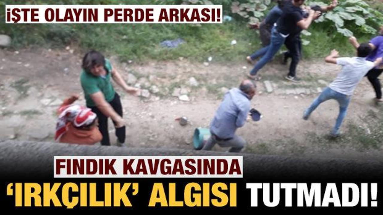 'Irkçılık' algısı tutmadı: Sakarya'daki fındık kavgasının perde arkası!