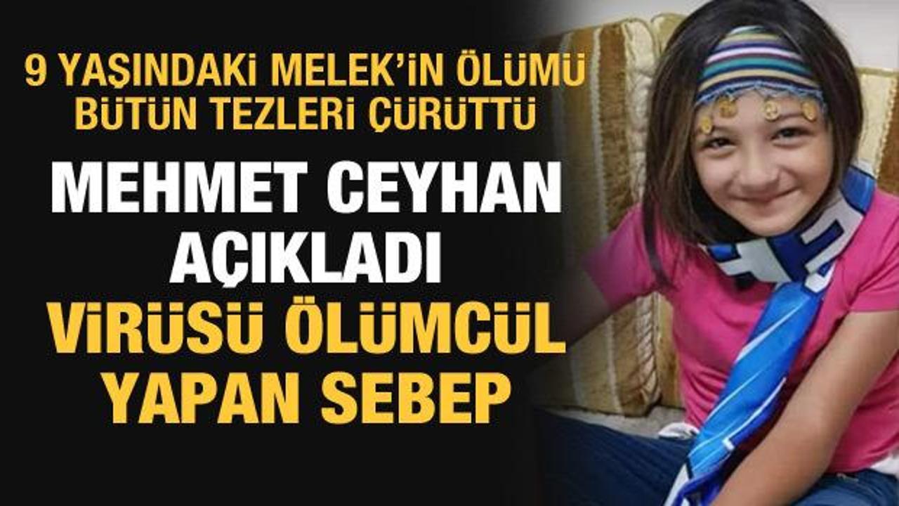 Mehmet Ceyhan'dan 9 yaşındaki Melek'in kahreden ölümüyle ilgili dikkat çeken sözler