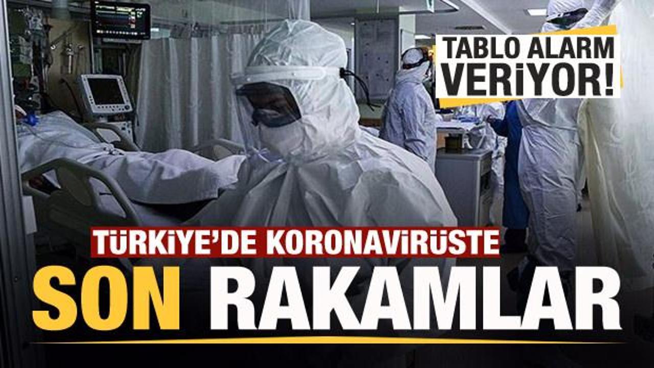 Son dakika haberi: 24 Eylül koronavirüs tablosu! Hasta, ölü sayısı ve son durum açıklandı