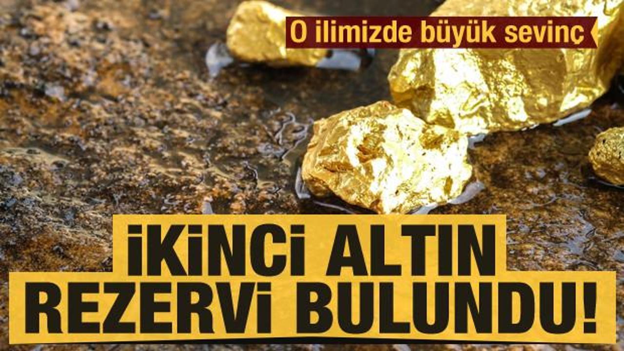 Erzurum'da ikinci altın rezervi bulundu!