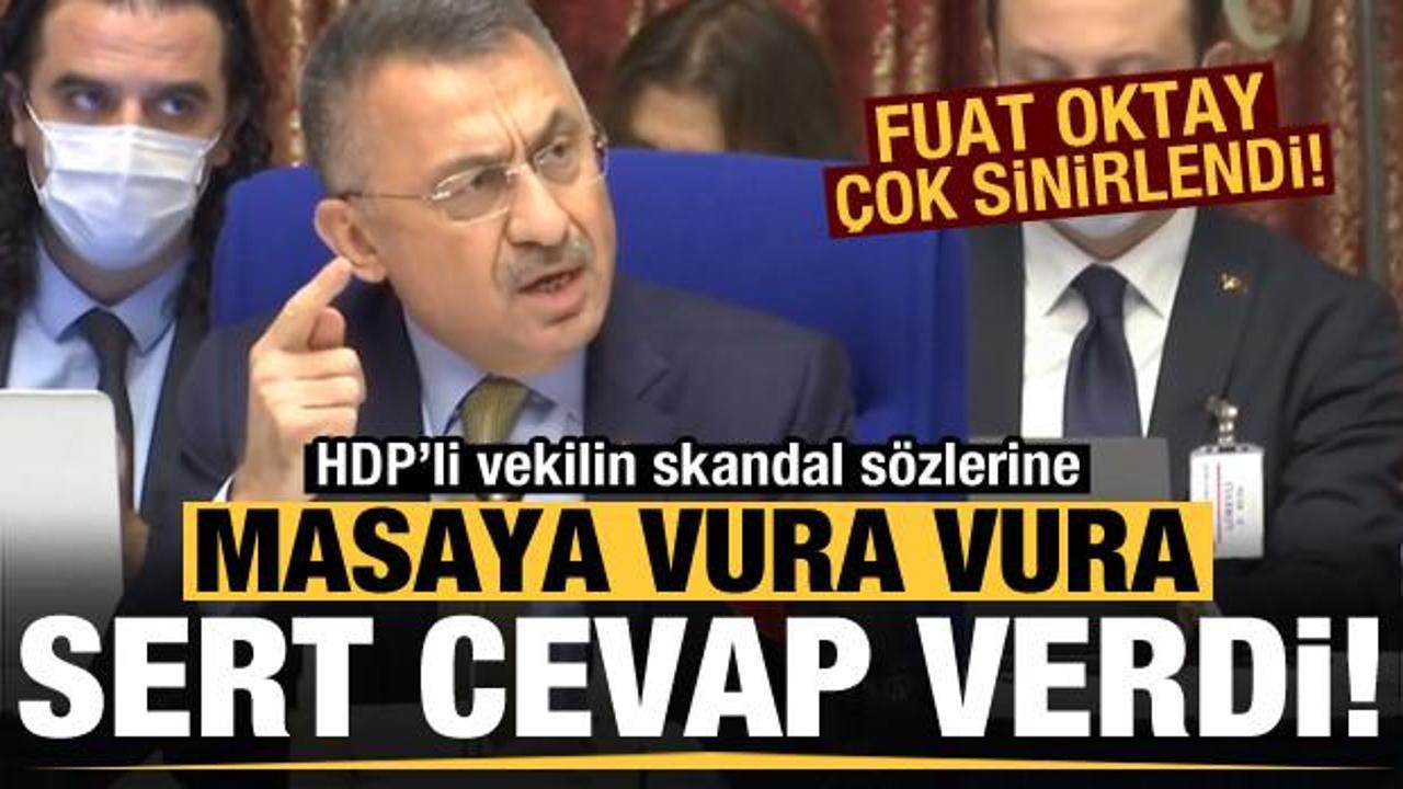 Fuat Oktay'dan HDP milletvekiline okkalı cevap!