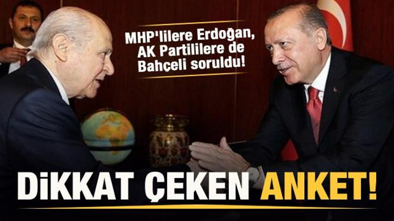 Dikkat çeken anket! MHP'lilere Erdoğan'ı, AK Partililere de Bahçeli'yi sordular