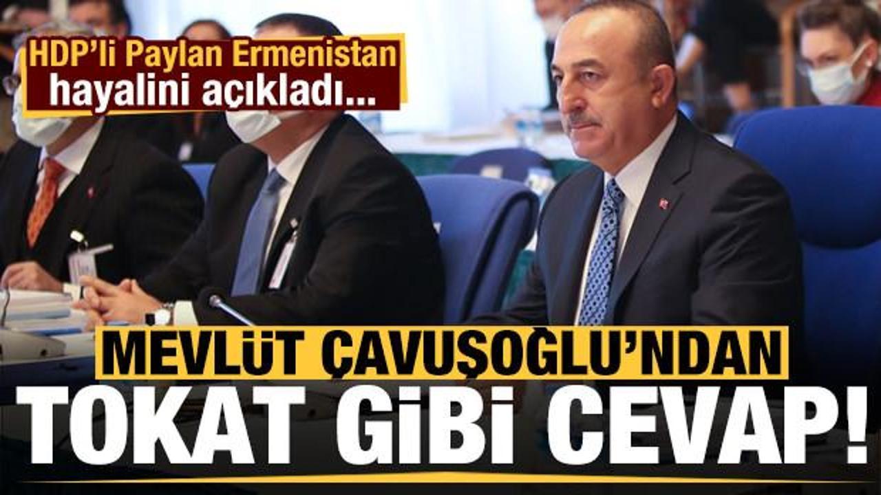 HDP'li Paylan'ın Ermenistan hayali sonrası Çavuşoğlu'ndan tokat gibi cevap!