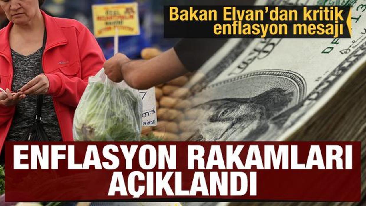 Enflasyon rakamları açıklandı! Bakan Elvan'dan kritik enflasyon mesajı! İşte Dolarda son durum!
