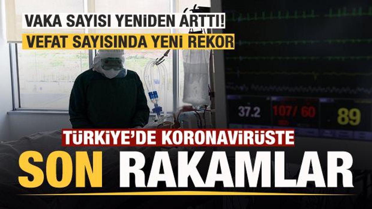 Son dakika: 15 Aralık koronavirüs tablosu! Vaka, Hasta, ölü sayısı ve son durum açıklandı