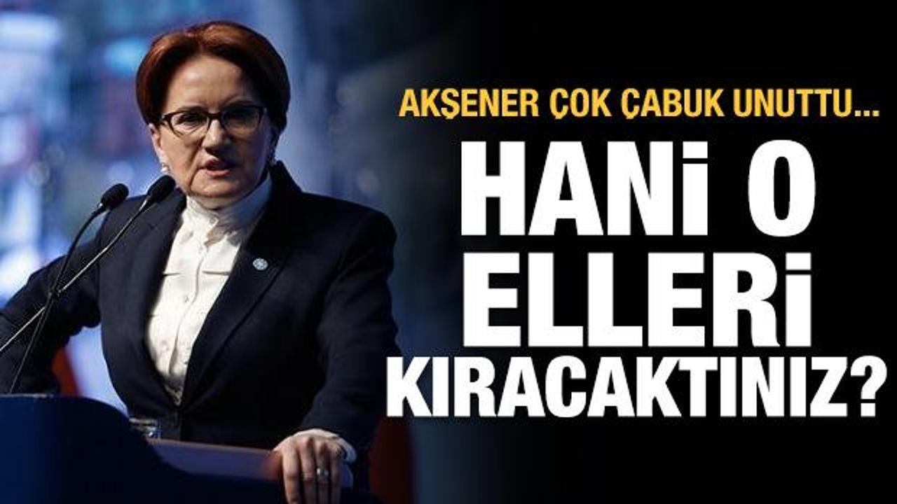 Hani o elleri kıracaktınız!