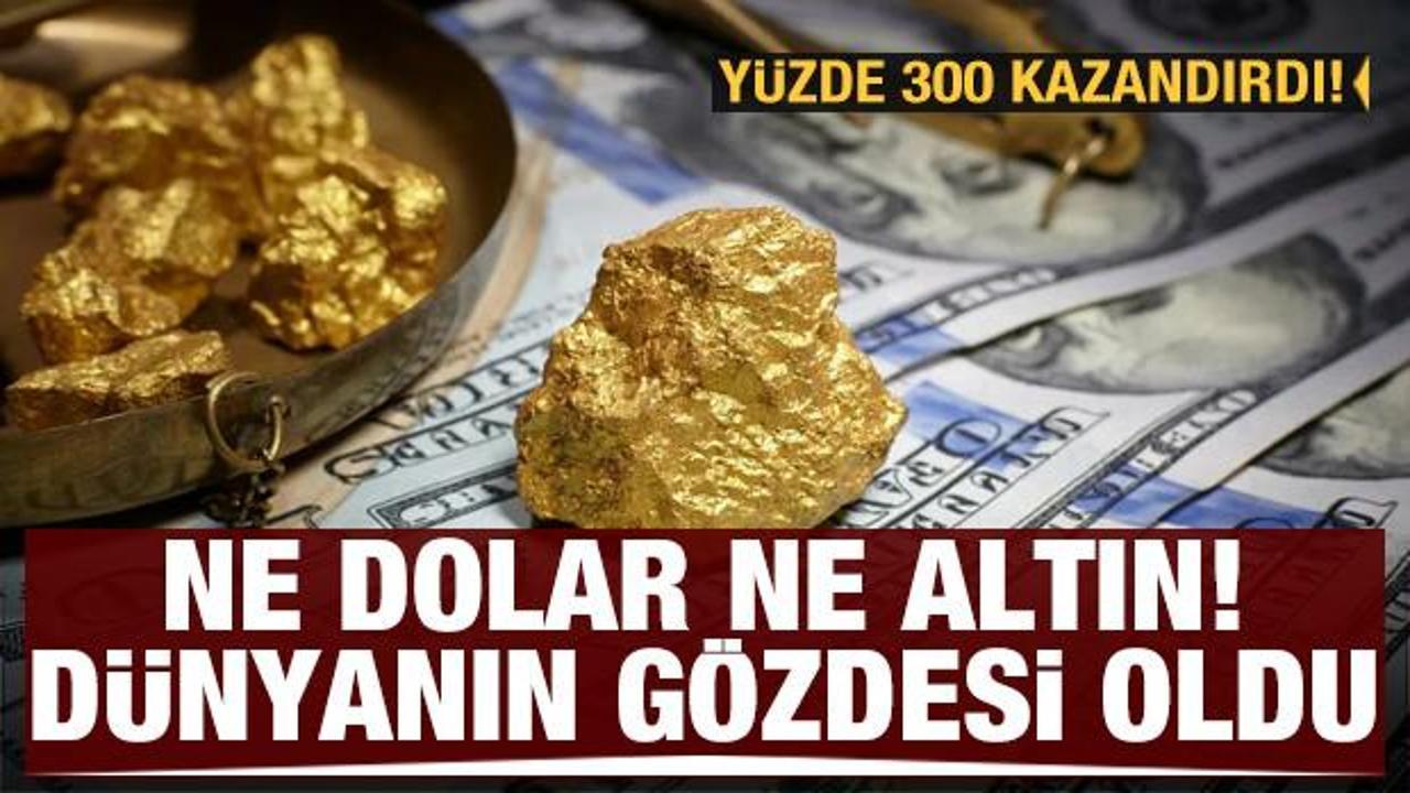 Ne altın ne dolar! D&uuml;nyada yeni g&ouml;zde oldu, y&uuml;zde 300 kazandırdı