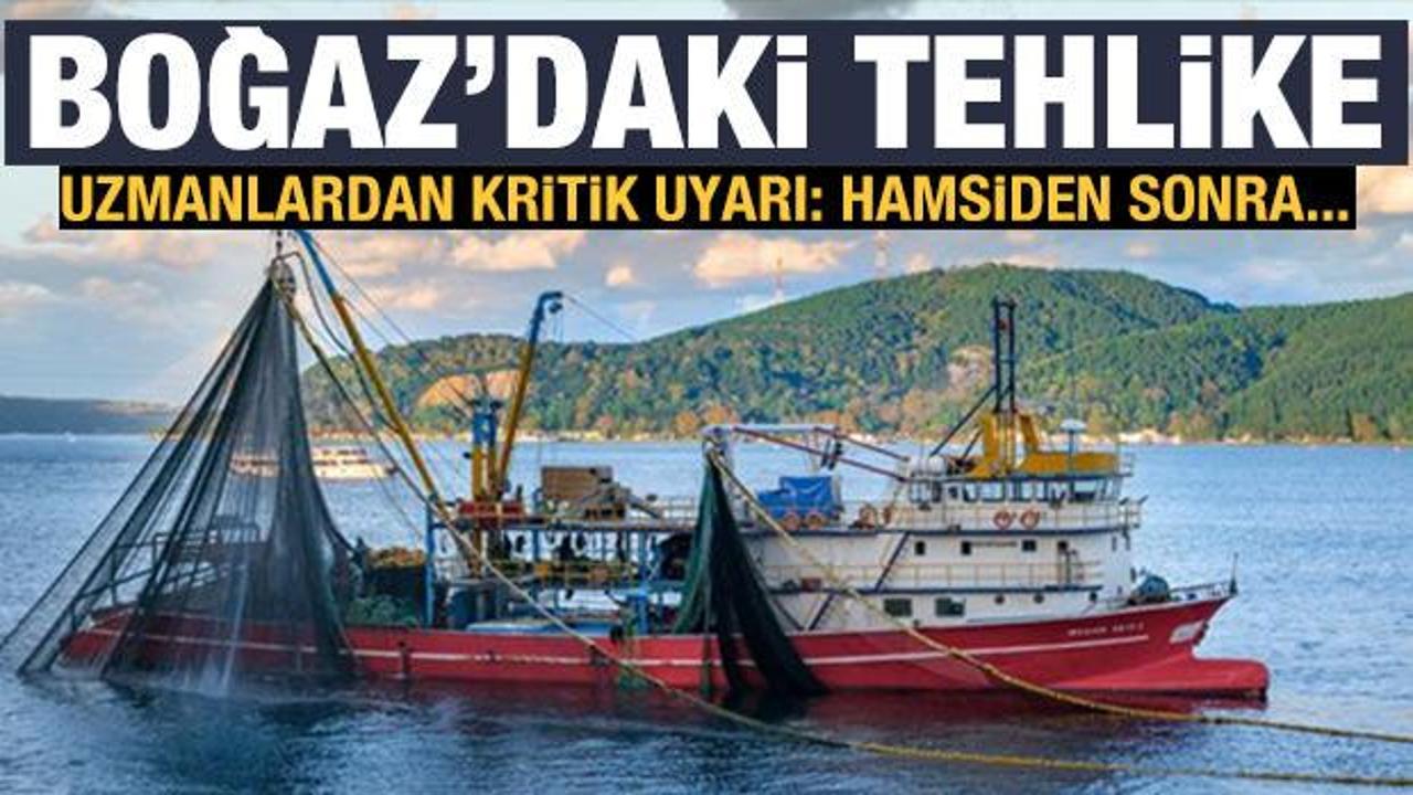 Uzmanlardan Boğaz i&ccedil;in uyarı: Yakında l&uuml;fer de gider