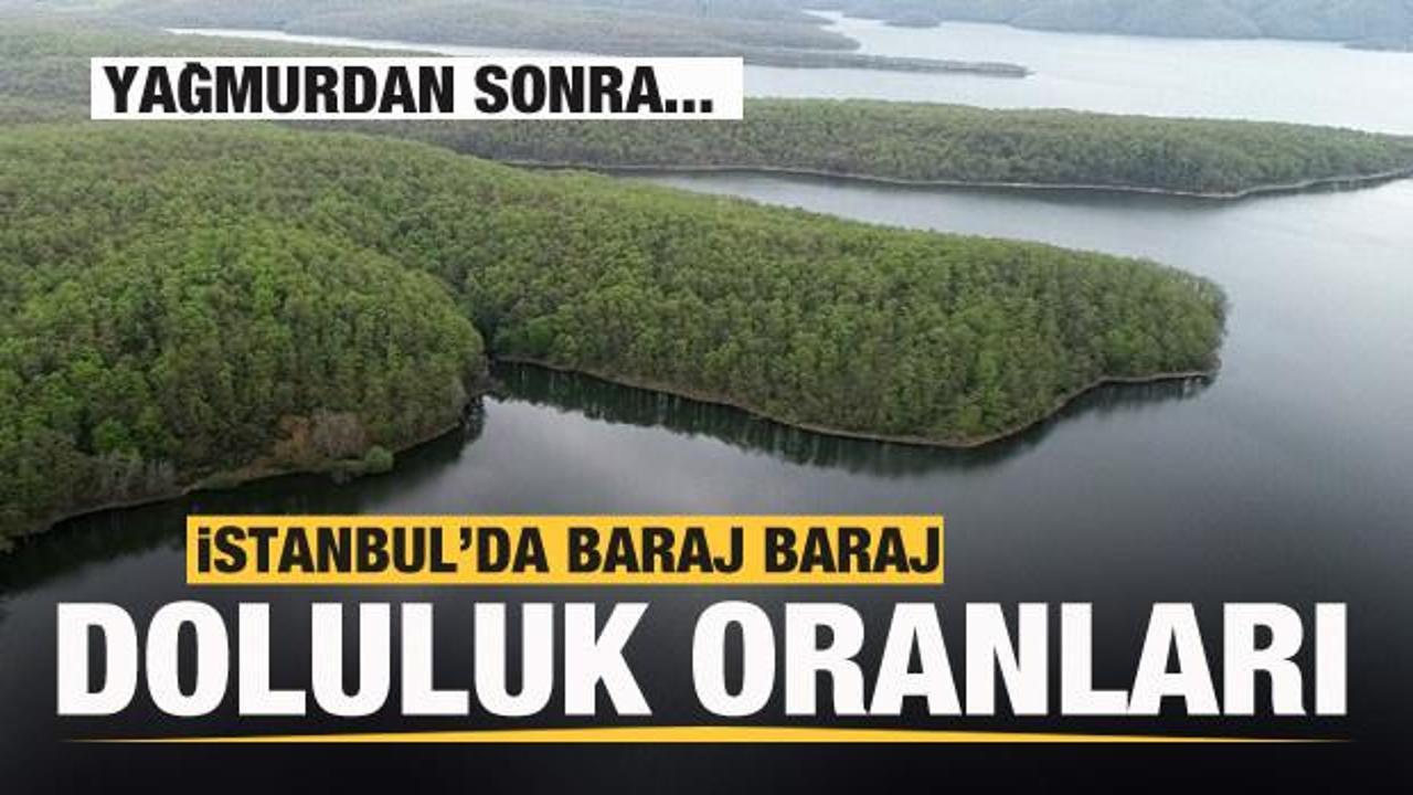 Yağmurdan sonra İstanbul'da barajlardaki doluluk oranı