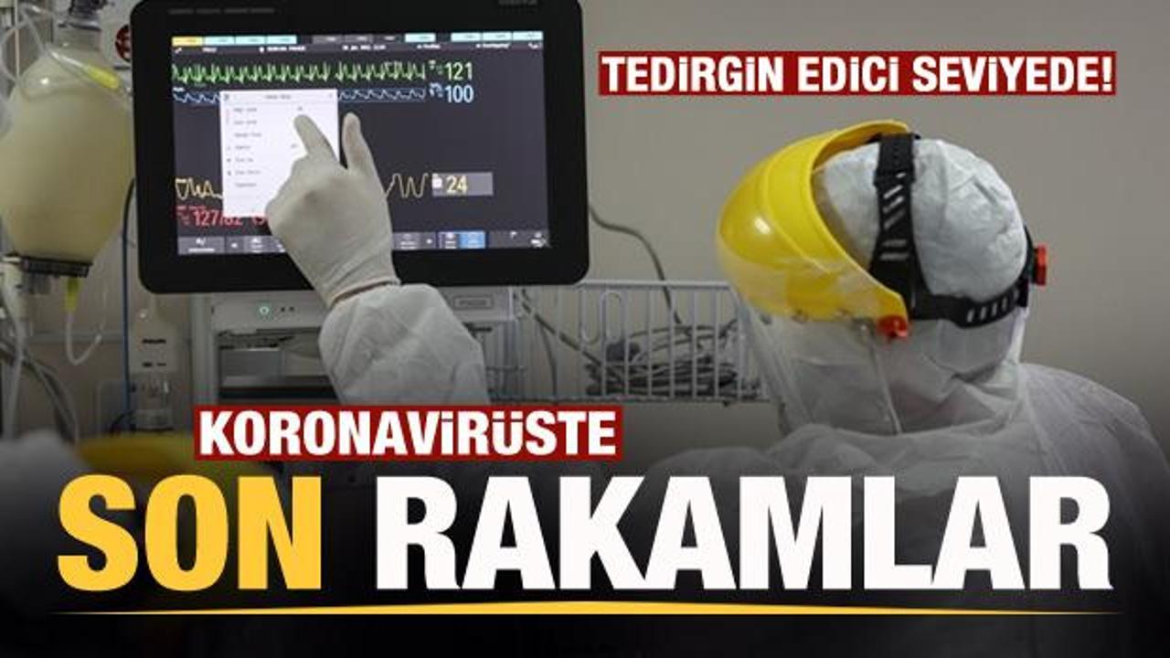 Son dakika: 2 Şubat koronavirüs tablosu! Vaka, Hasta, ölü sayısı ve son durum açıklandı