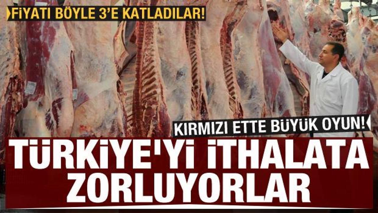 Ette fiyat oyunu: Türkiye'yi ithalata zorluyorlar
