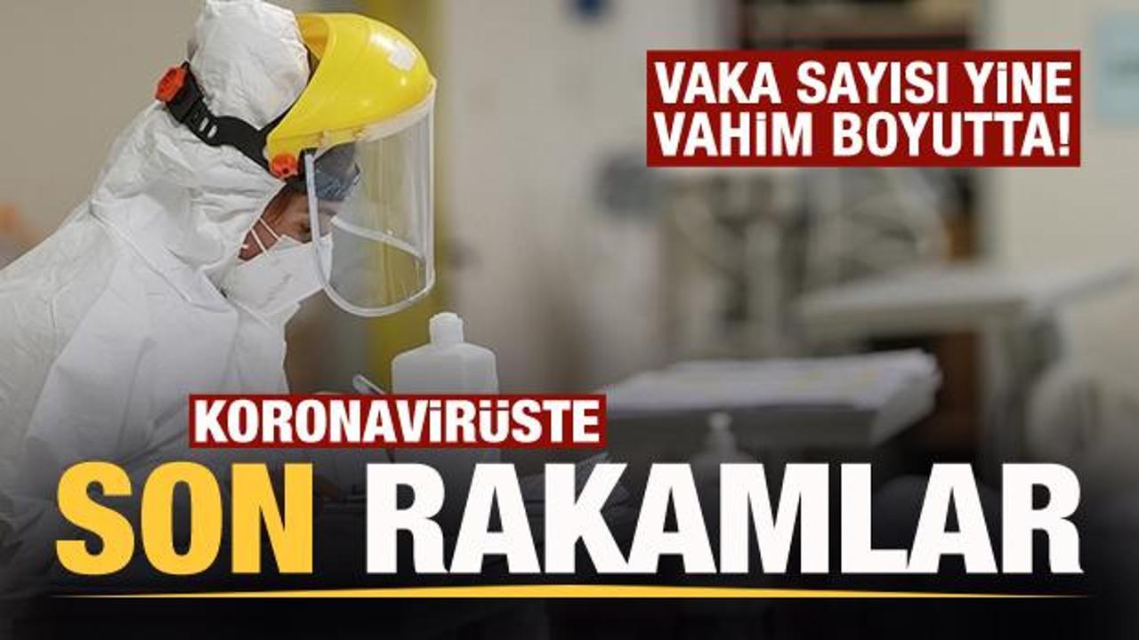 Son dakika: 15 Şubat koronavirüs tablosu! Vaka, Hasta, ölü sayısı ve son durum açıklandı