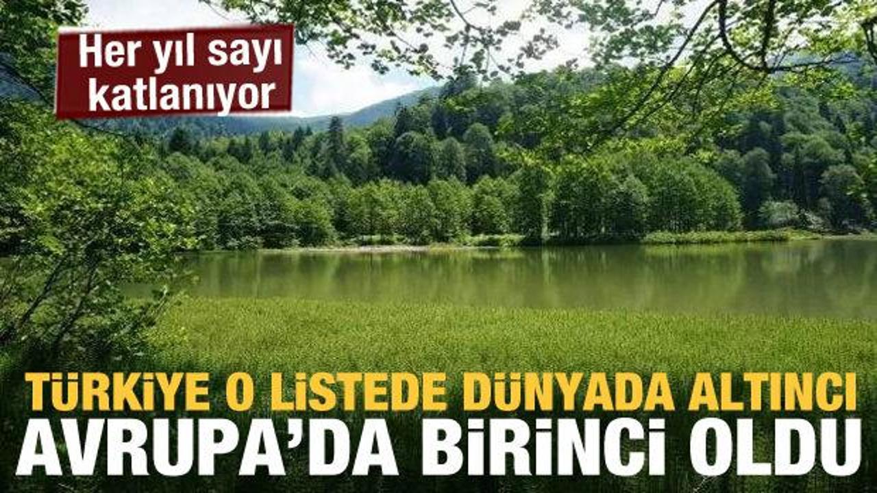 Türkiye ağaçlandırmada Avrupa'da birinci oldu