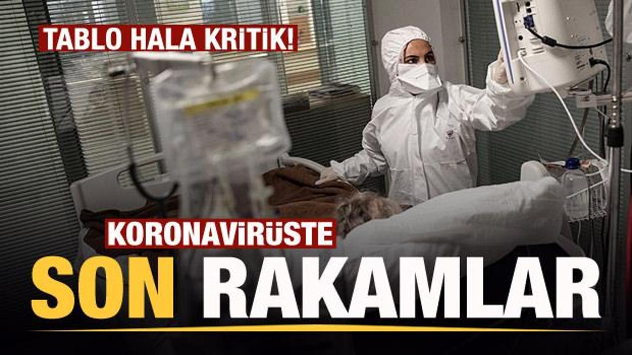 Son dakika: 11 Mart koronavirüs tablosu! Vaka, Hasta, ölü sayısı ve son durum açıklandı