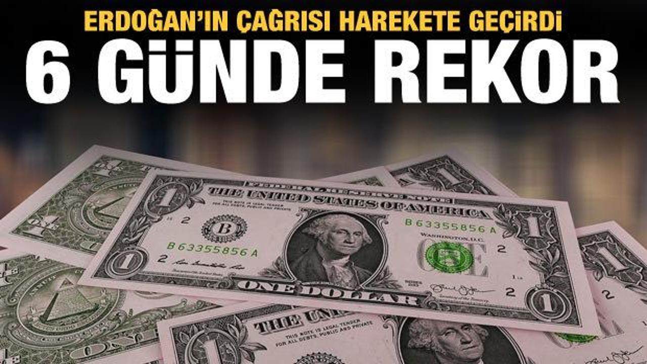 Erdoğan'ın çağrısı harekete geçirdi: 6 günde rekor satış