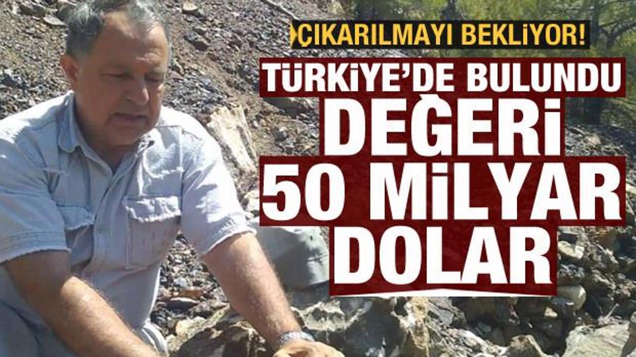 Türkiye'de bulundu, değeri 50 milyar dolar! Çıkarılmayı bekliyor