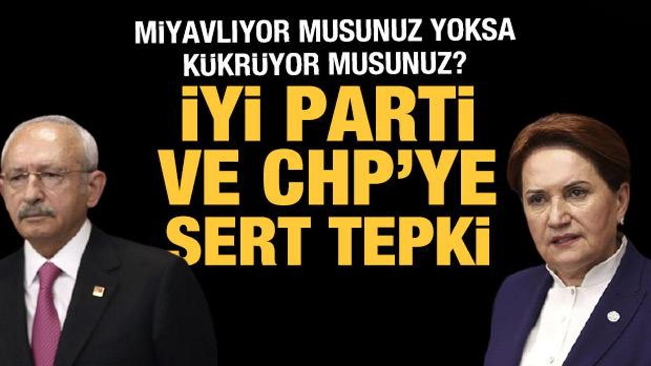 Akbaşoğlu'ndan CHP ve İYİ Parti'ye &ccedil;ağrı: Hadi g&ouml;relim sizi
