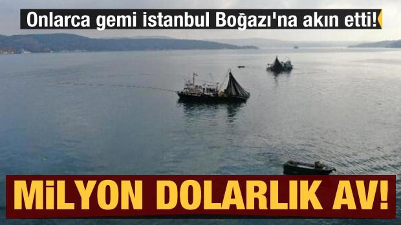 Onlarca gemi İstanbul Boğazı'na akın etti! Milyon dolarlık av