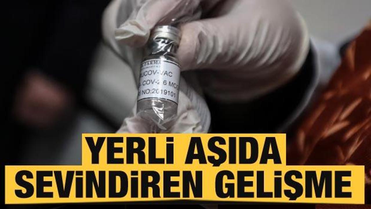 Yerli aşıda sevindiren gelişme