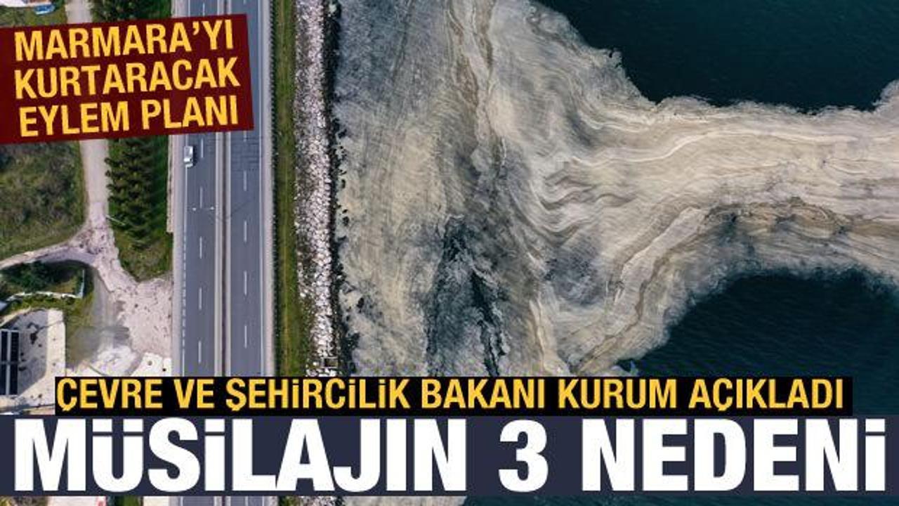 Marmara'daki deniz salyası için Bakanlık harekete geçiyor