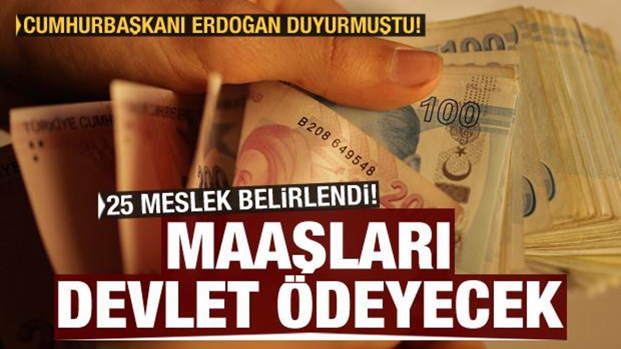 25 meslek belirlendi, ücretlerini devlet ödeyecek! Başkan Erdoğan açıklamıştı
