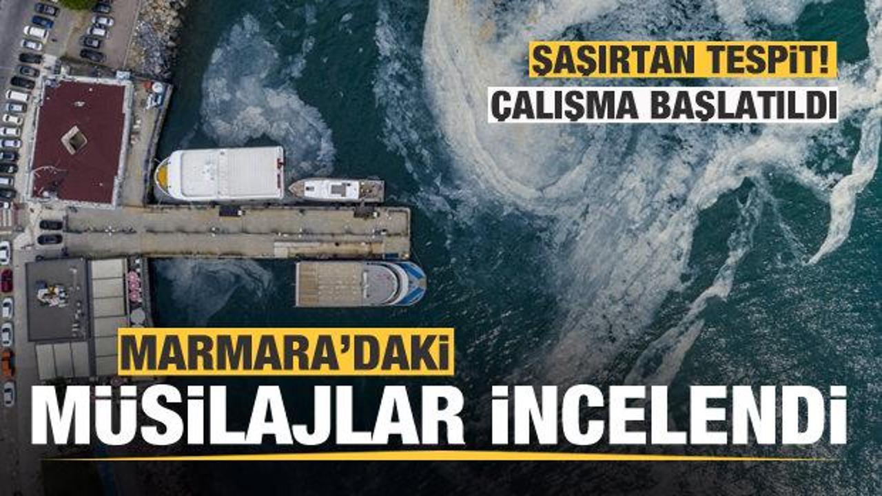 Marmara'daki müsilajlar incelendi! Şaşırtan tespit!