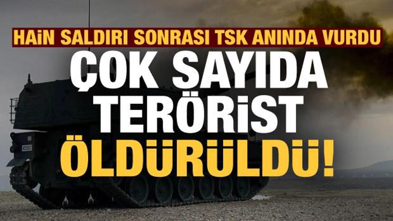 Son dakika: TSK'nın cezalandırma atışlarında çok sayıda terörist öldürüldü!