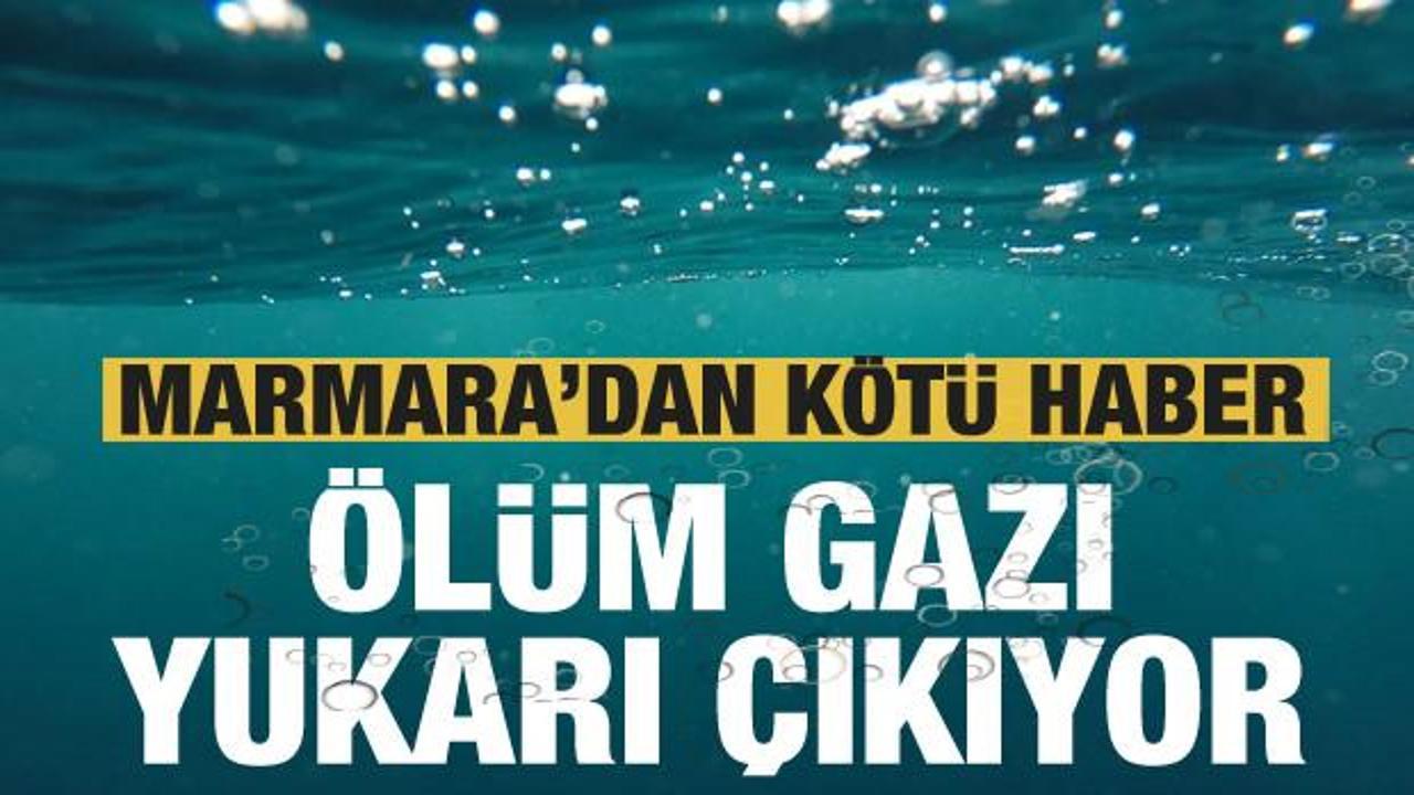 Marmara'dan korkutan haber: Ölüm gazı yukarı çıkıyor