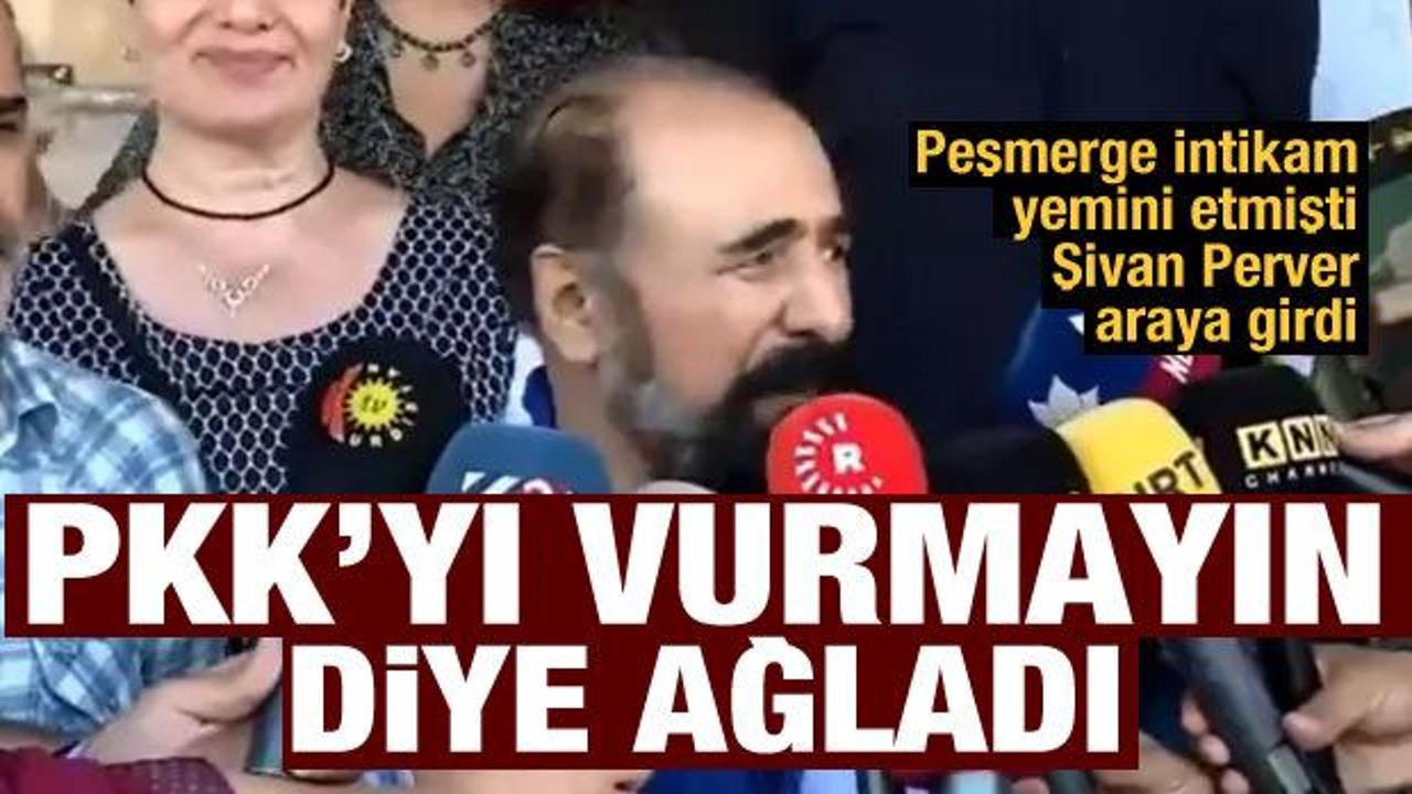 Şivan Perver peşmergeye yalvardı: PKK'yı vurmayın