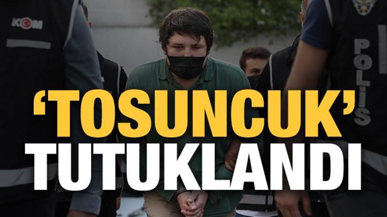 'Tosuncuk' lakaplı Mehmet Aydın tutuklandı