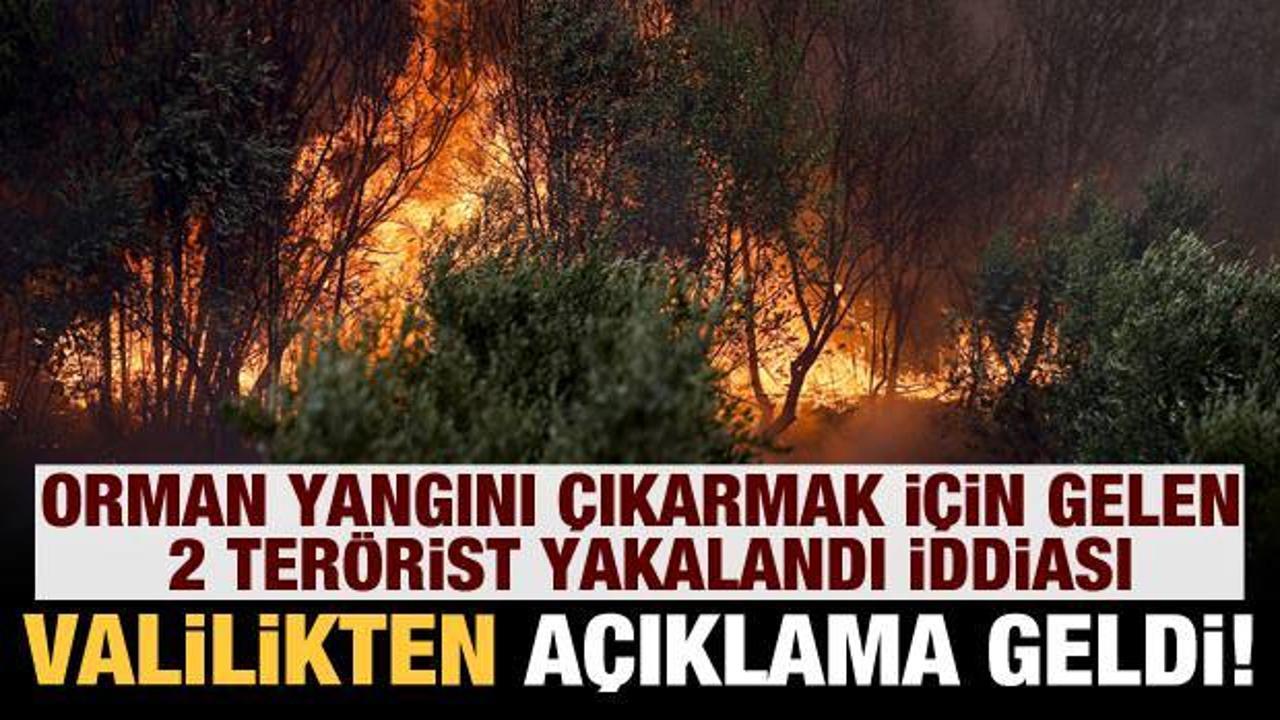 Orman yangını çıkarmak için gelen PYD/PKK'lı 2 terörist yakalandı