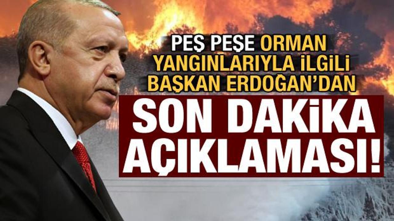 Orman yangınları sonrası Başkan Erdoğan'dan son dakika açıklaması