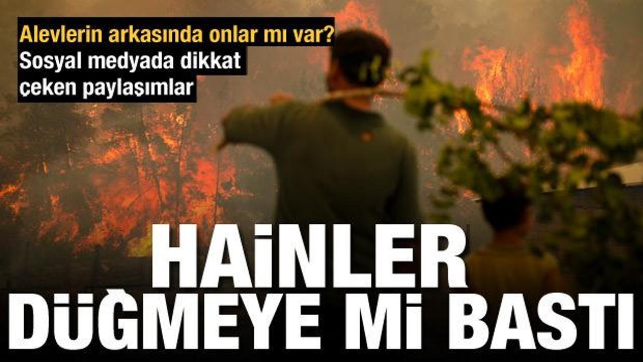 Türkiye'de ormanları kim yakıyor? Yangınlarda terör izleri