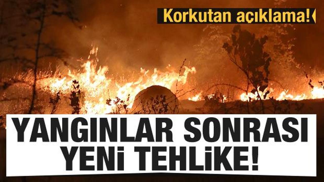 Türkiye'deki orman yangınları sonrası yeni tehlike! Korkutan açıklama