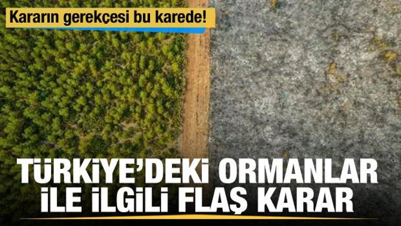 Bakanlık'tan ormanlar için 'hayat koridoru' kararı