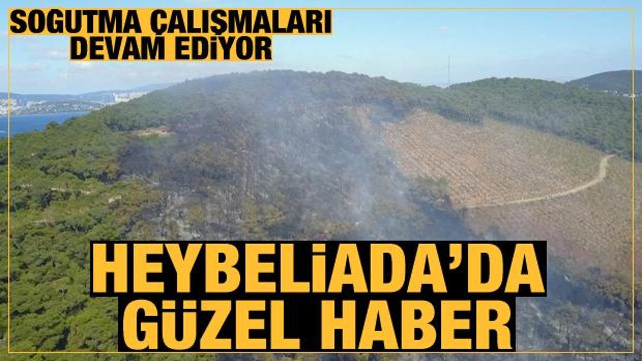 Son Dakika: Heybeliada'da orman yangını kontrol altına alındı!