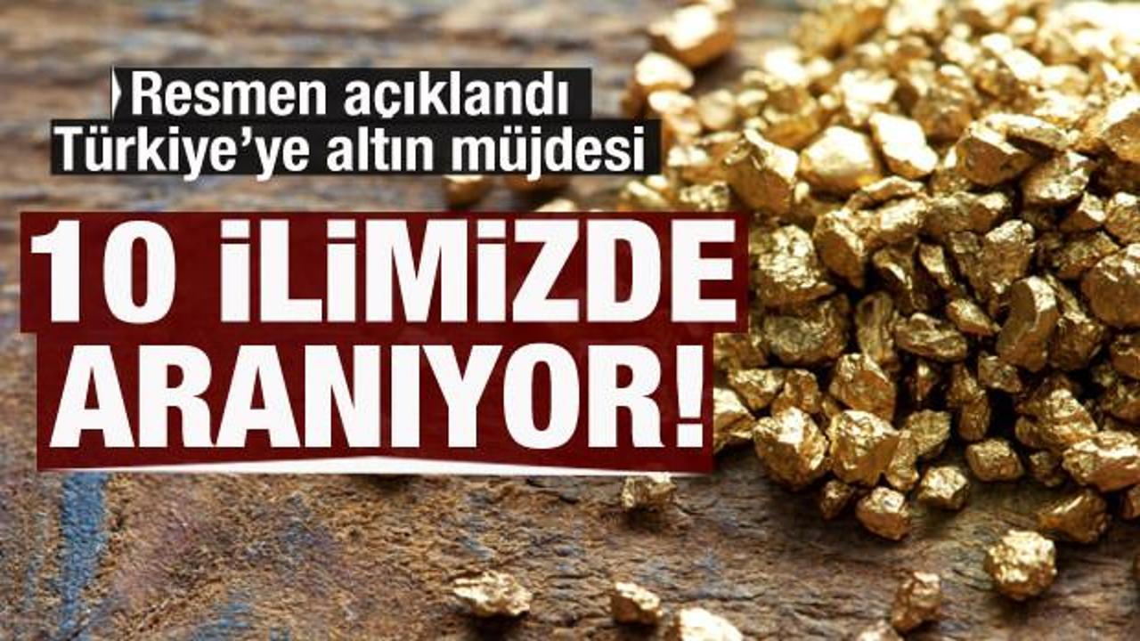 Türkiye'ye altın müjdesi! 10 ilde arıyor