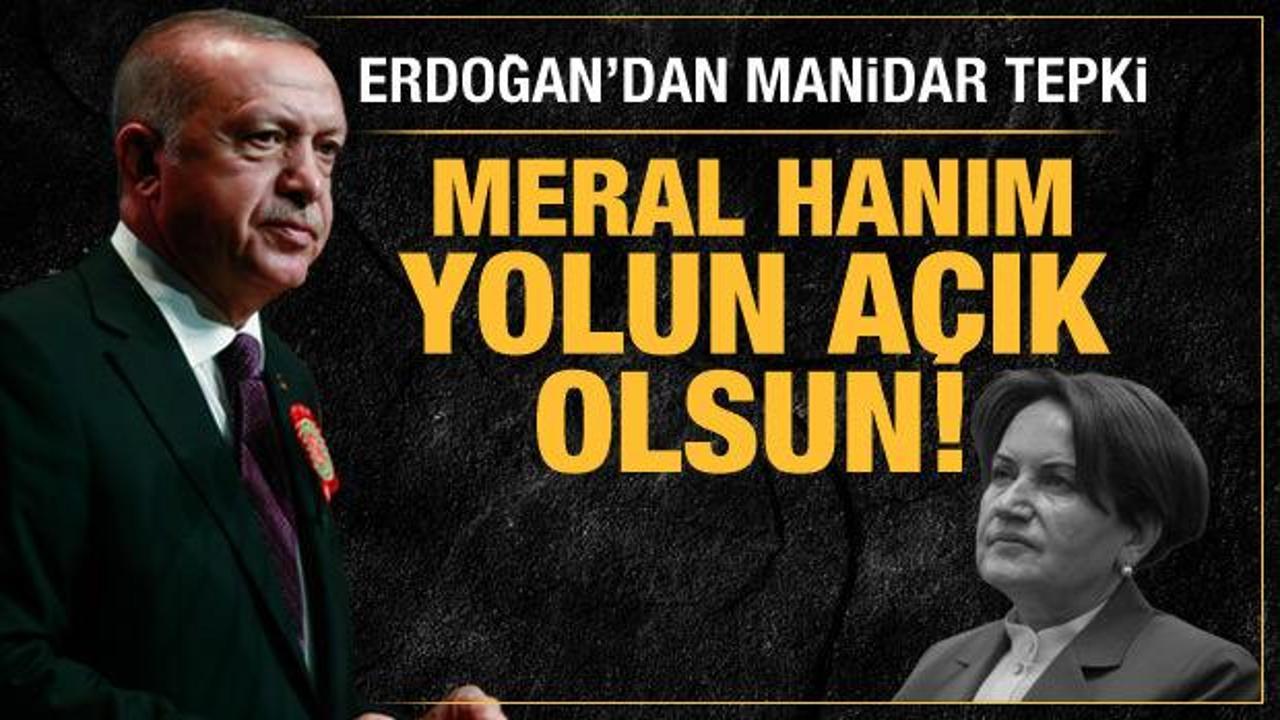Cumhurbaşkanı Erdoğan'dan Meral Akşener'e manidar tepki: Yolun açık olsun!