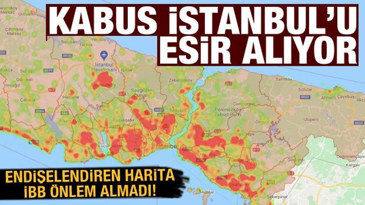 İstanbul'da sivrisinek haritası çıkarıldı: En çok ürediği noktalar saptandı