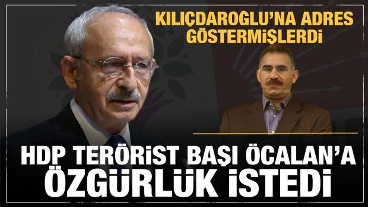 Kılıçdaroğlu'na İmralı'yı adres gösteren HDP'den  terörist başı Öcalan'a özgürlük isteği