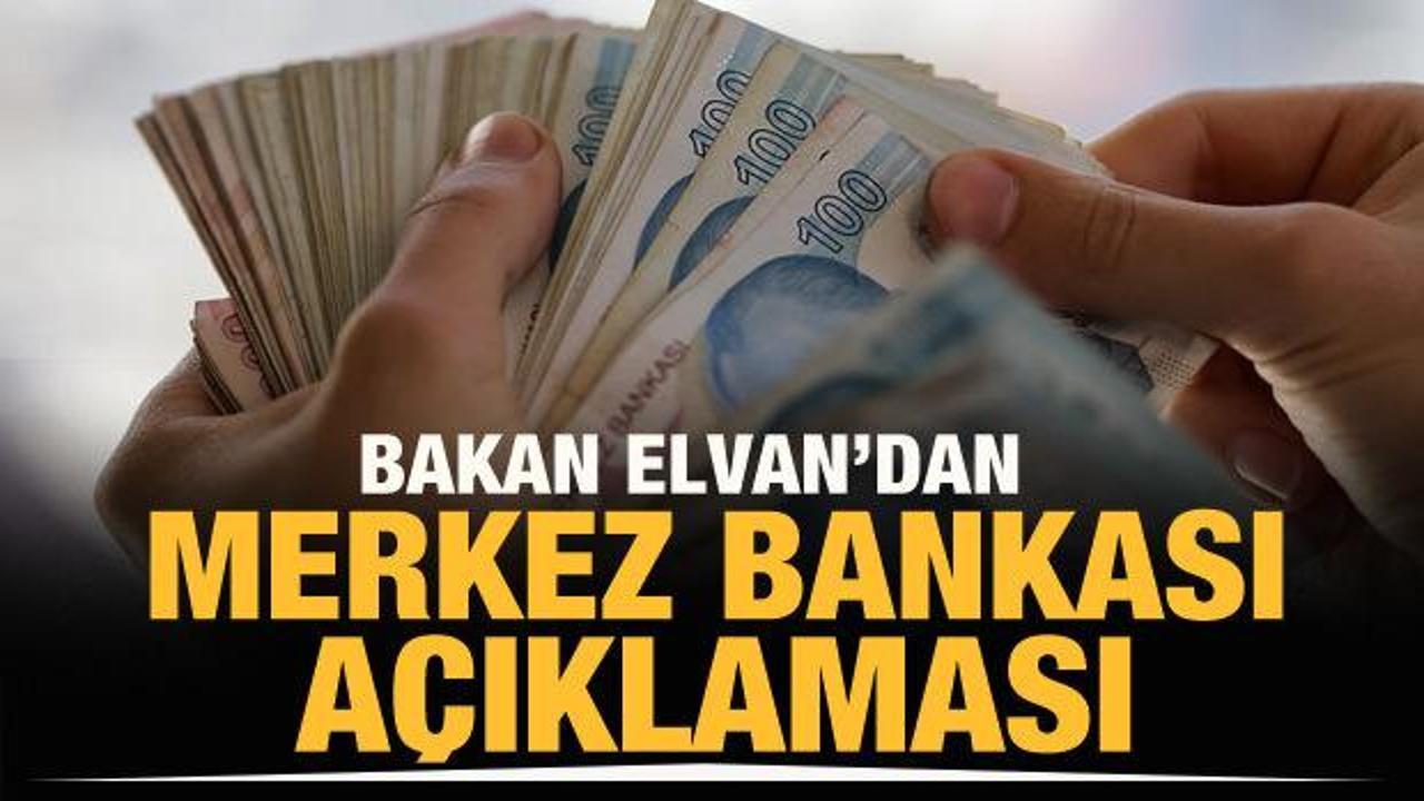 Bakan Elvan'dan Merkez Bankası açıklaması