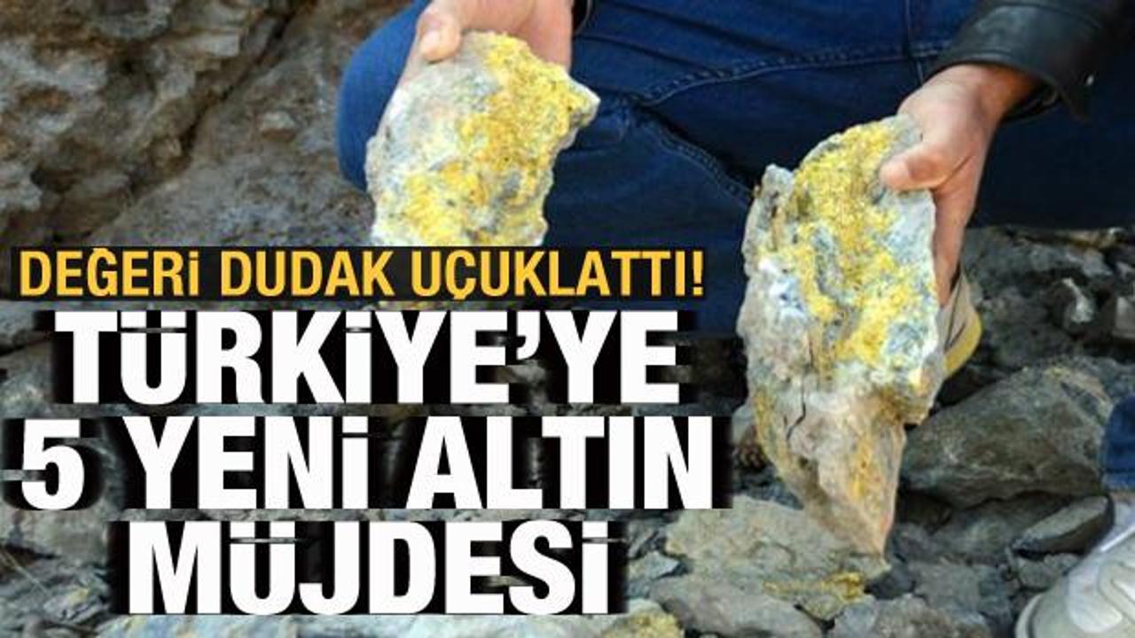 Değeri 325 milyar TL'yi buluyor! 5 yeni altın m&uuml;jdesi kapıda