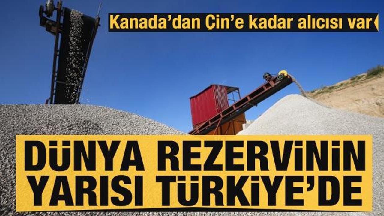 Dünya rezervinin yarısı Türkiye'de! Dünyanın dört bir tarafına ihraç ediliyor