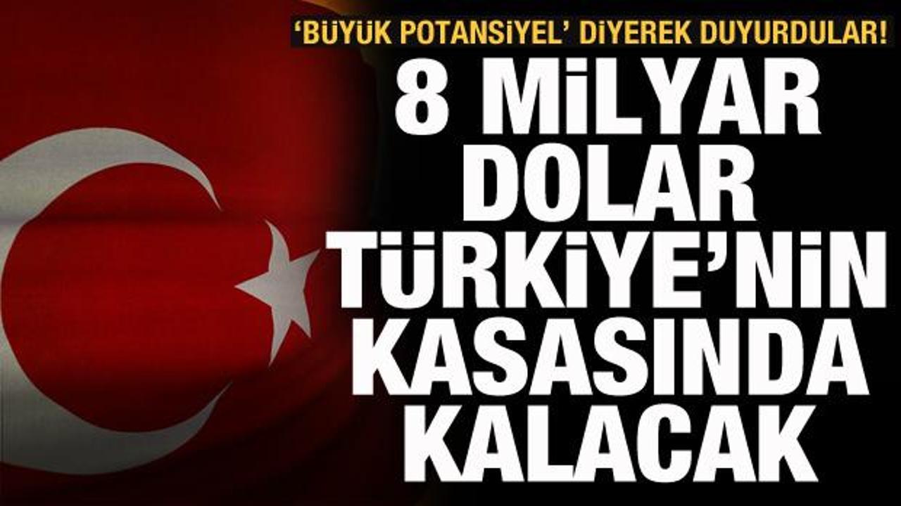 Türkiye oyun kurucu oluyor! Dışa bağımlılık bitecek, 8 milyar dolar kasasında kalacak
