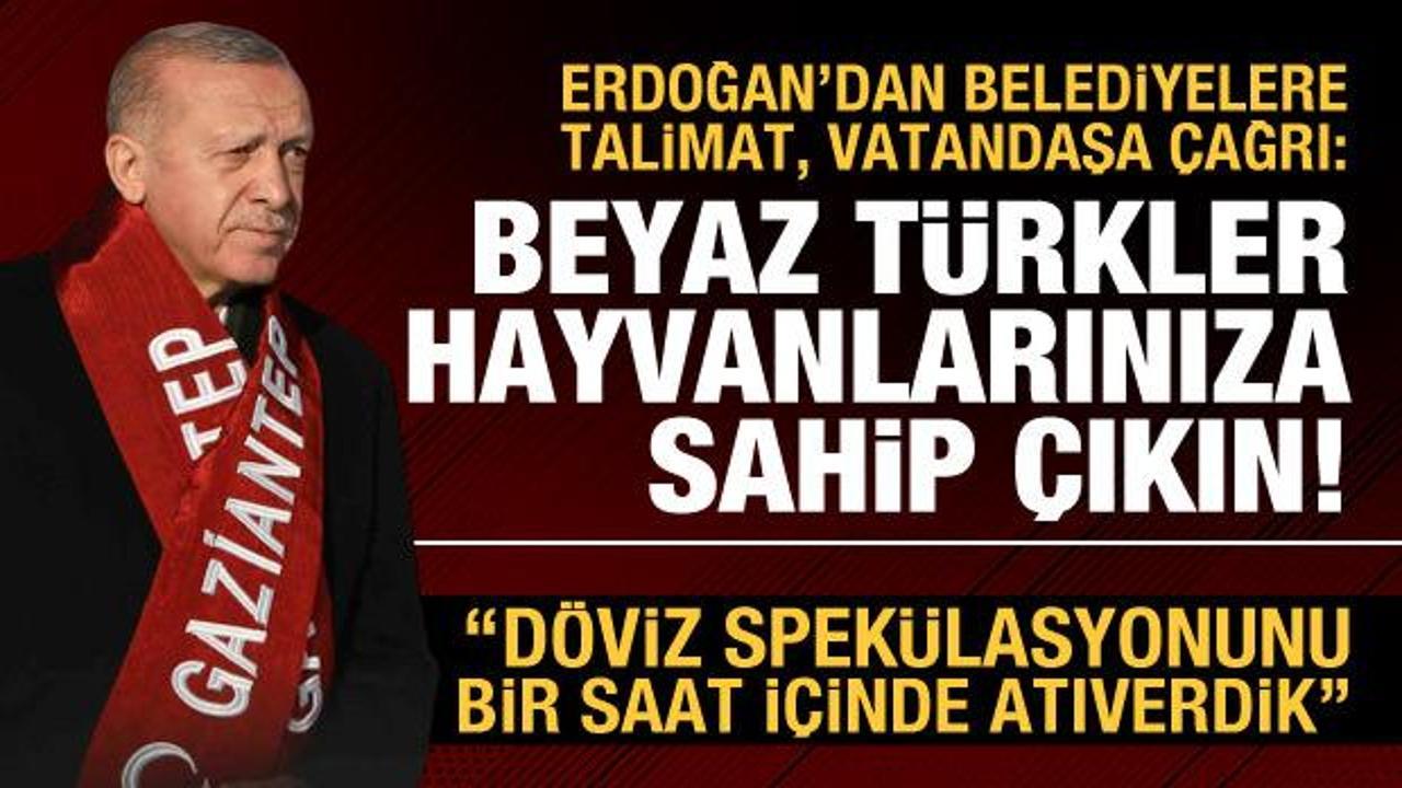 Cumhurbaşkanı Erdoğan'dan Asiye'ye saldıran pitbullun sahiplerine uyarı